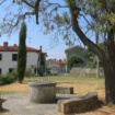 Korte