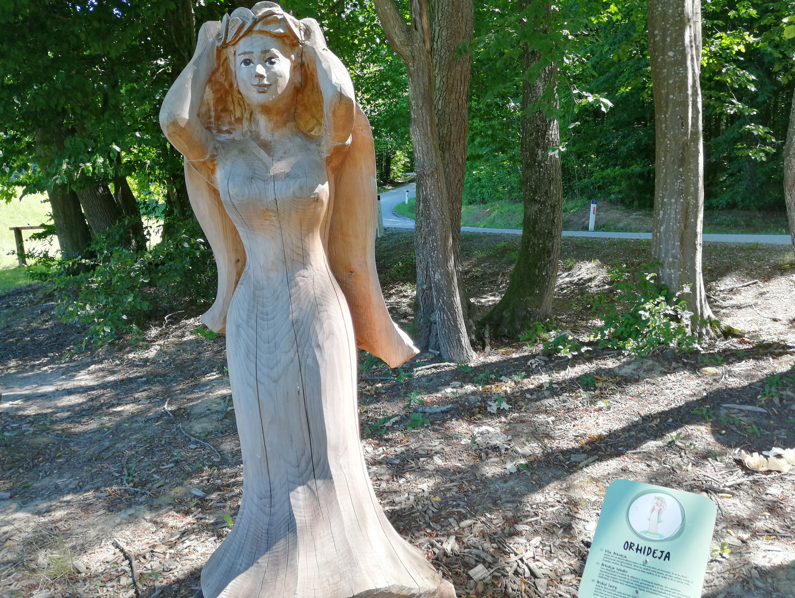 Bukovniško jezero vila