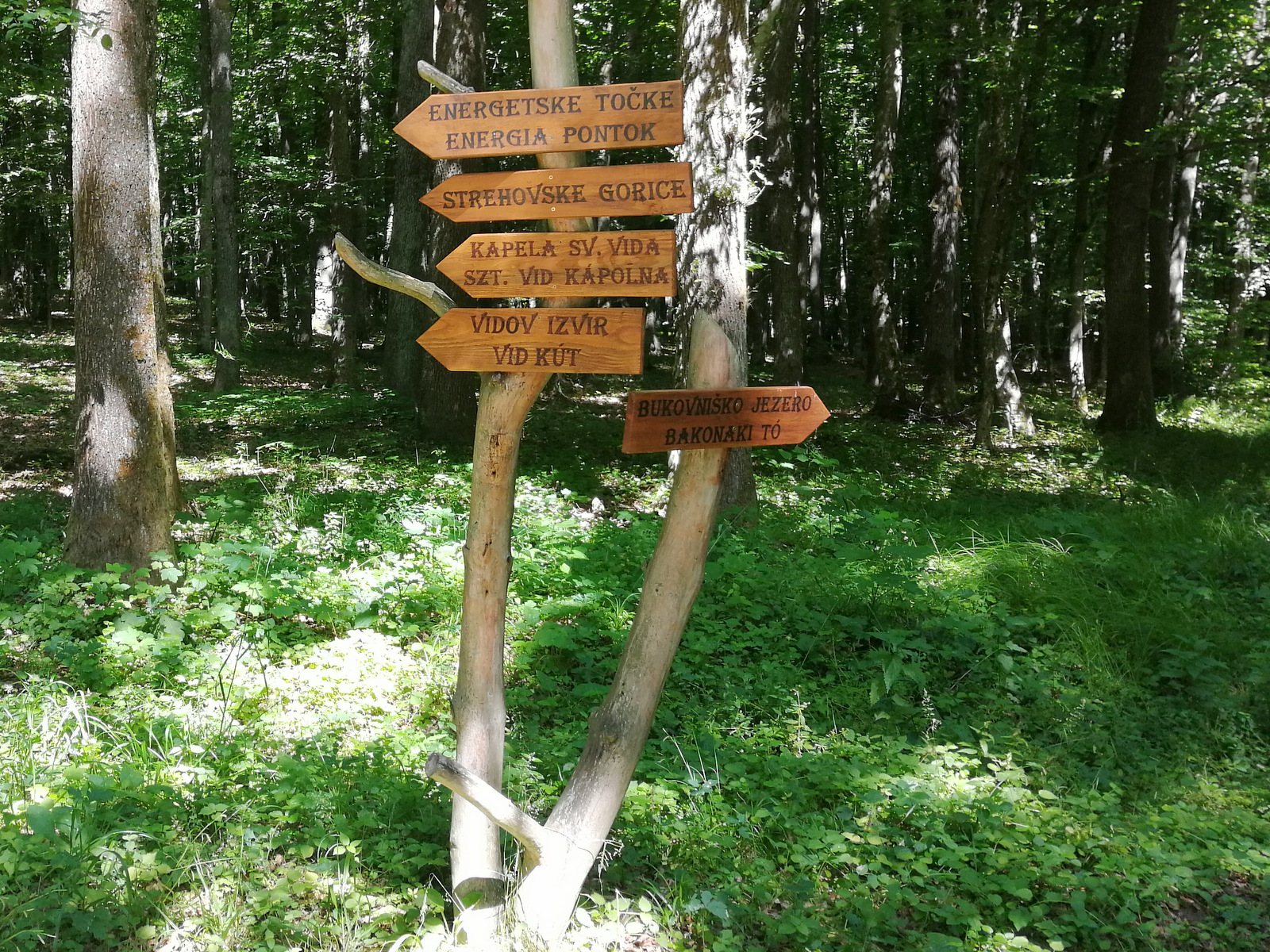 Bukovniško jezero smerokazi poti
