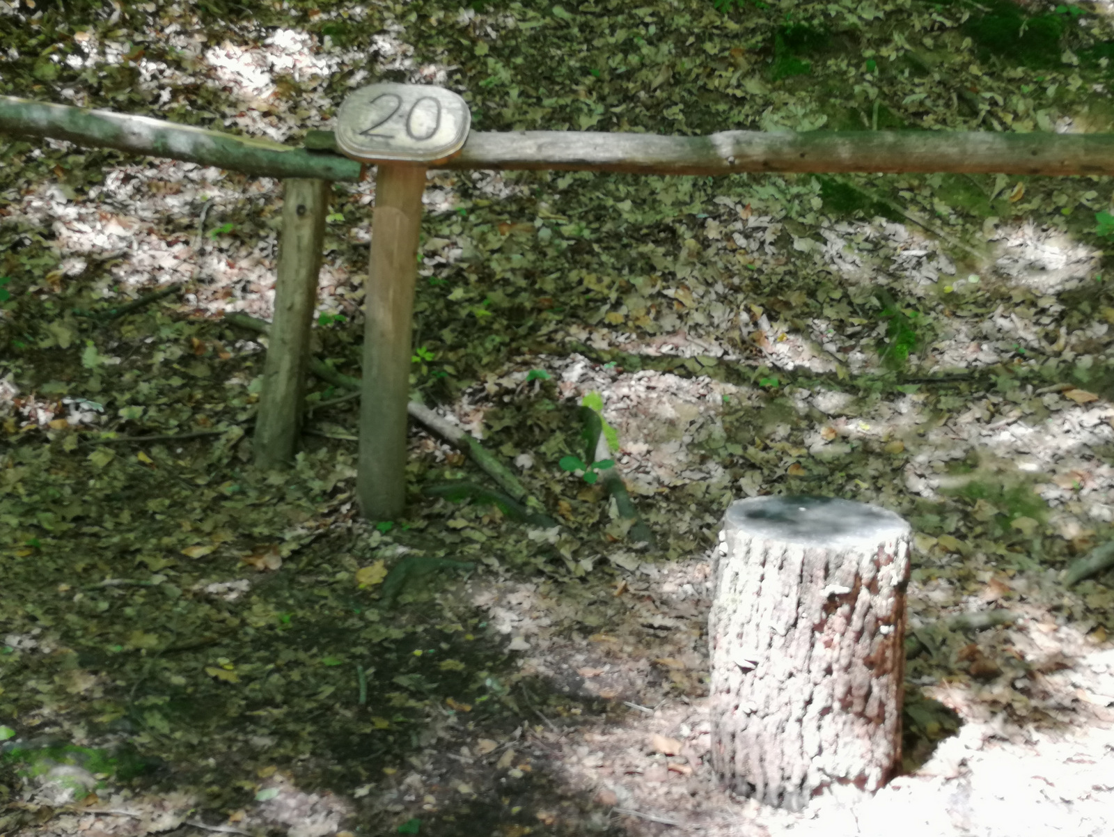 Bukovnica energetske točke