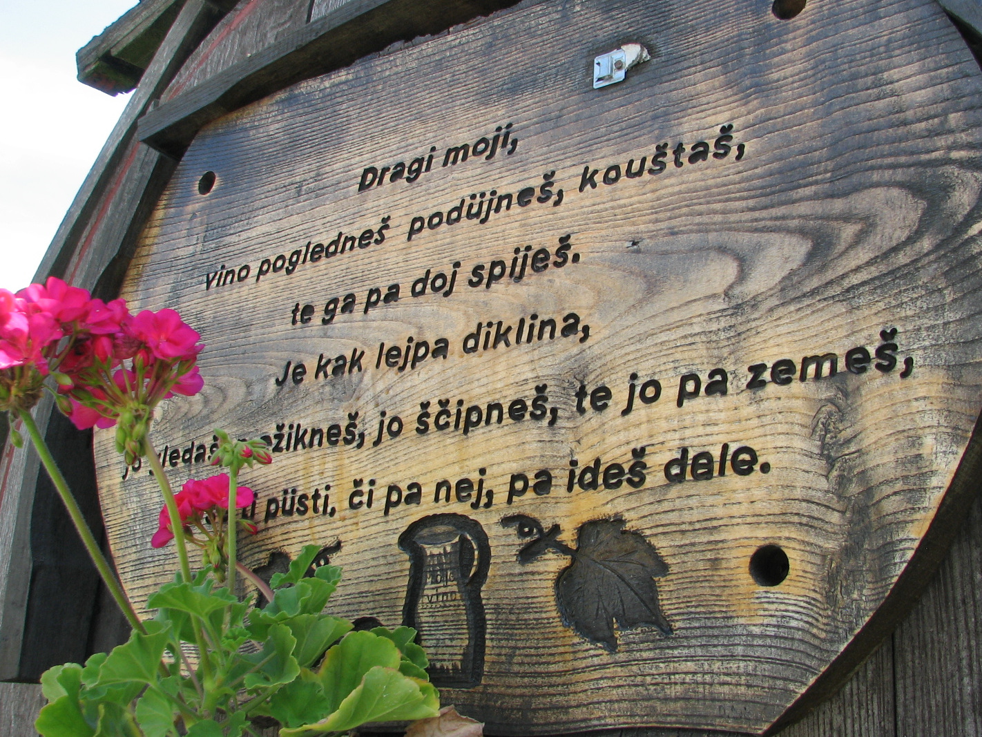 Napis o vinu v filovcih