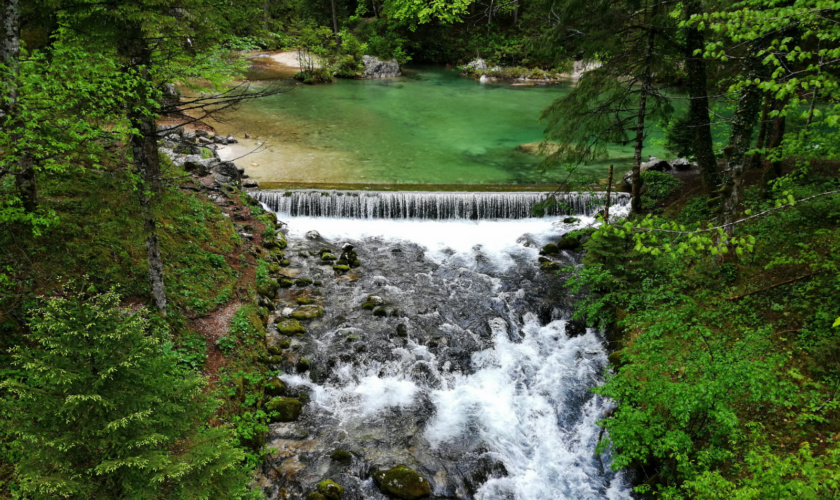 Izvir Kamniške Bistrice