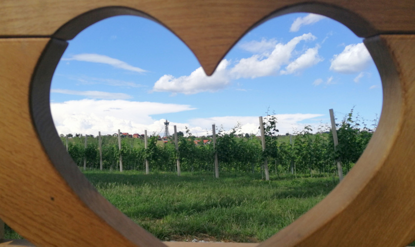 Lendavske gorice, srčasta klop