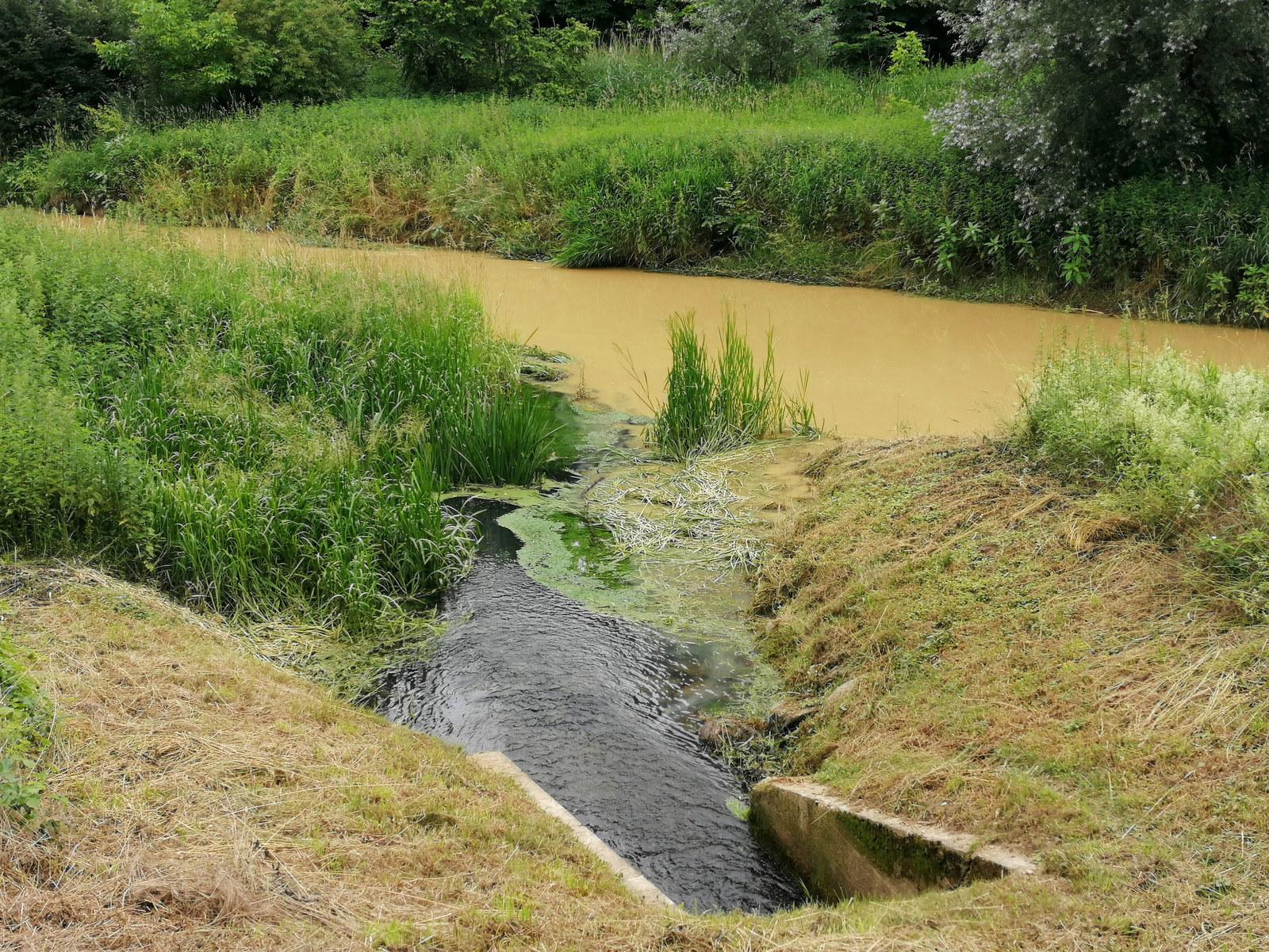 Pot po Razkriškem kotu