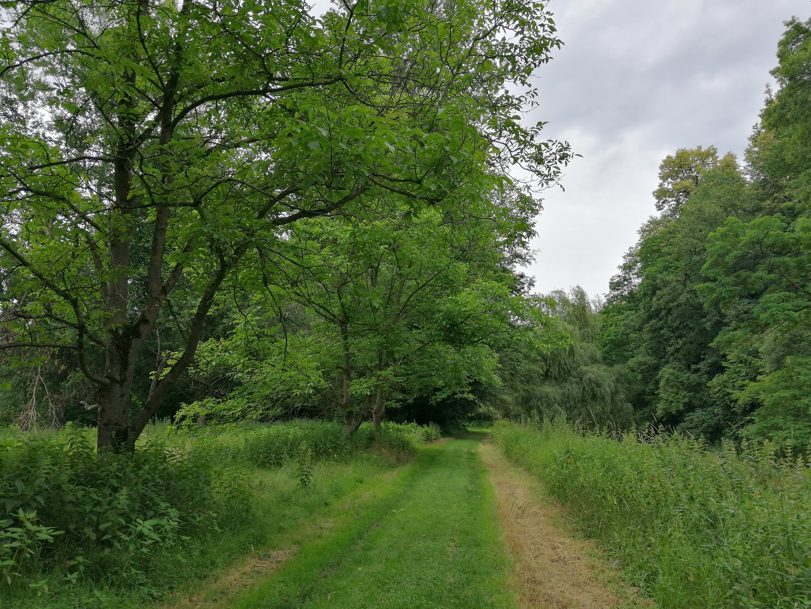 Pot po Razkriškem kotu