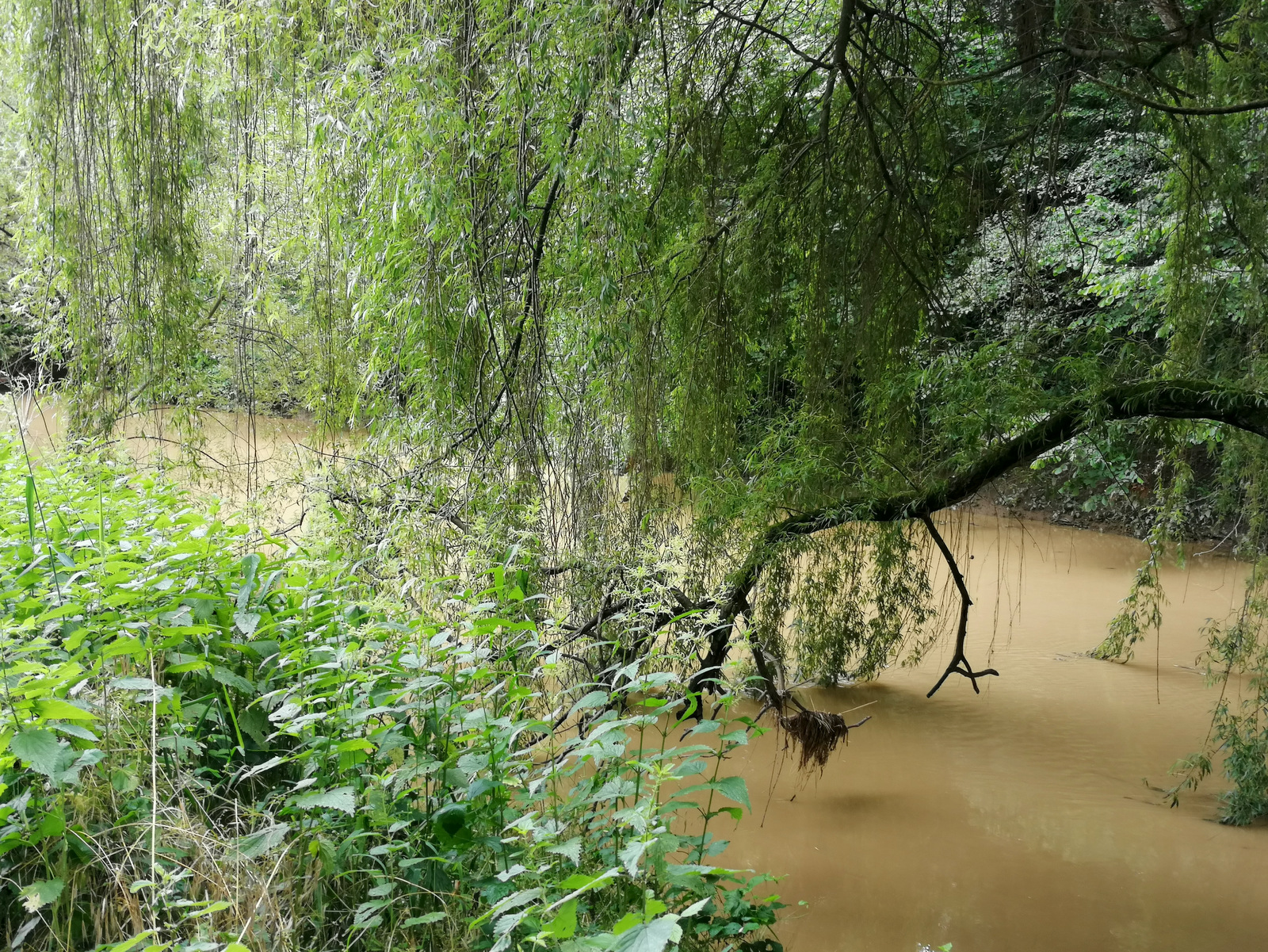 Pot po Razkriškem kotu