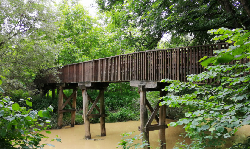 Razkriški kot, Slovenija
