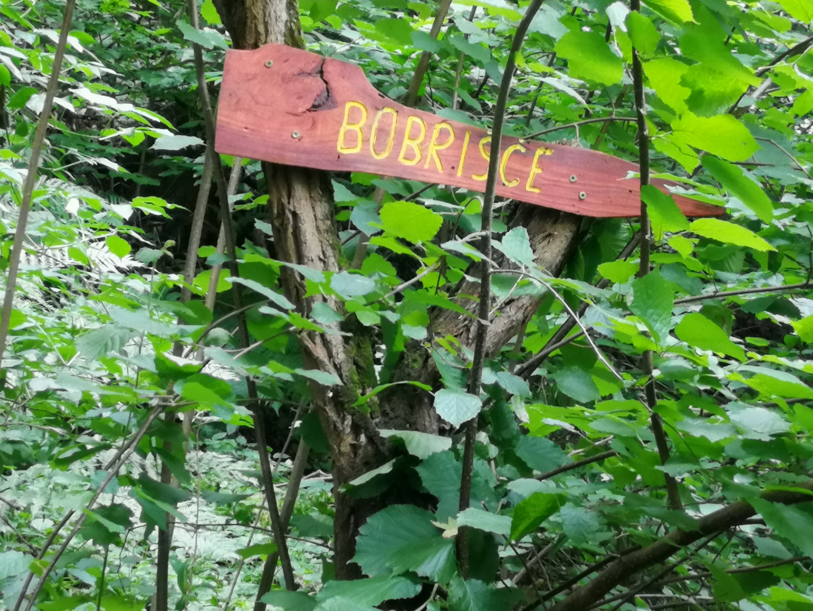 Pot po Razkriškem kotu,