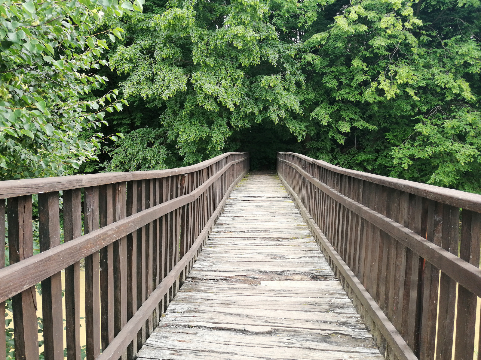 Pot po Razkriškem kotu, Ivanov izvir