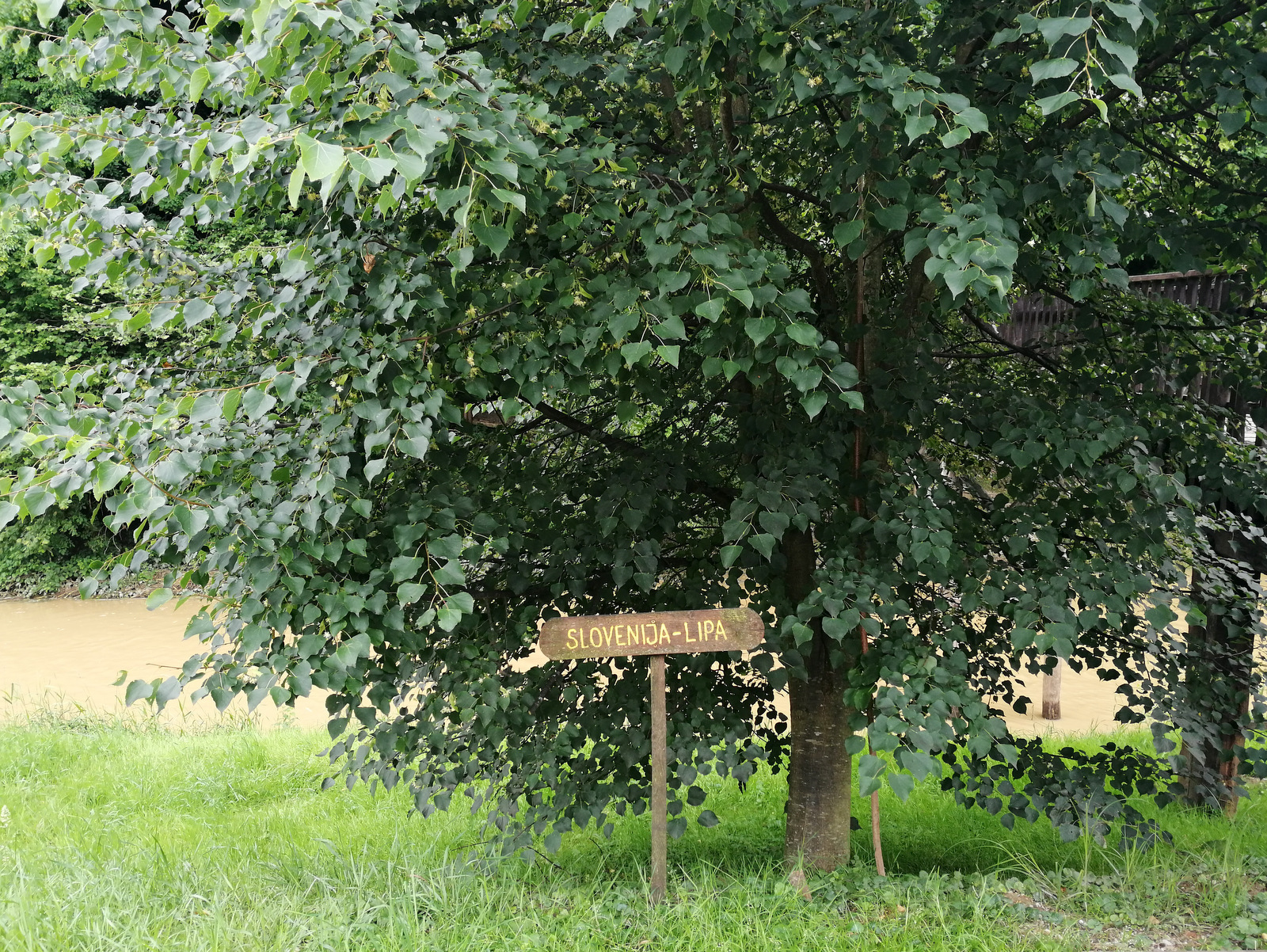 Pot po Razkriškem kotu