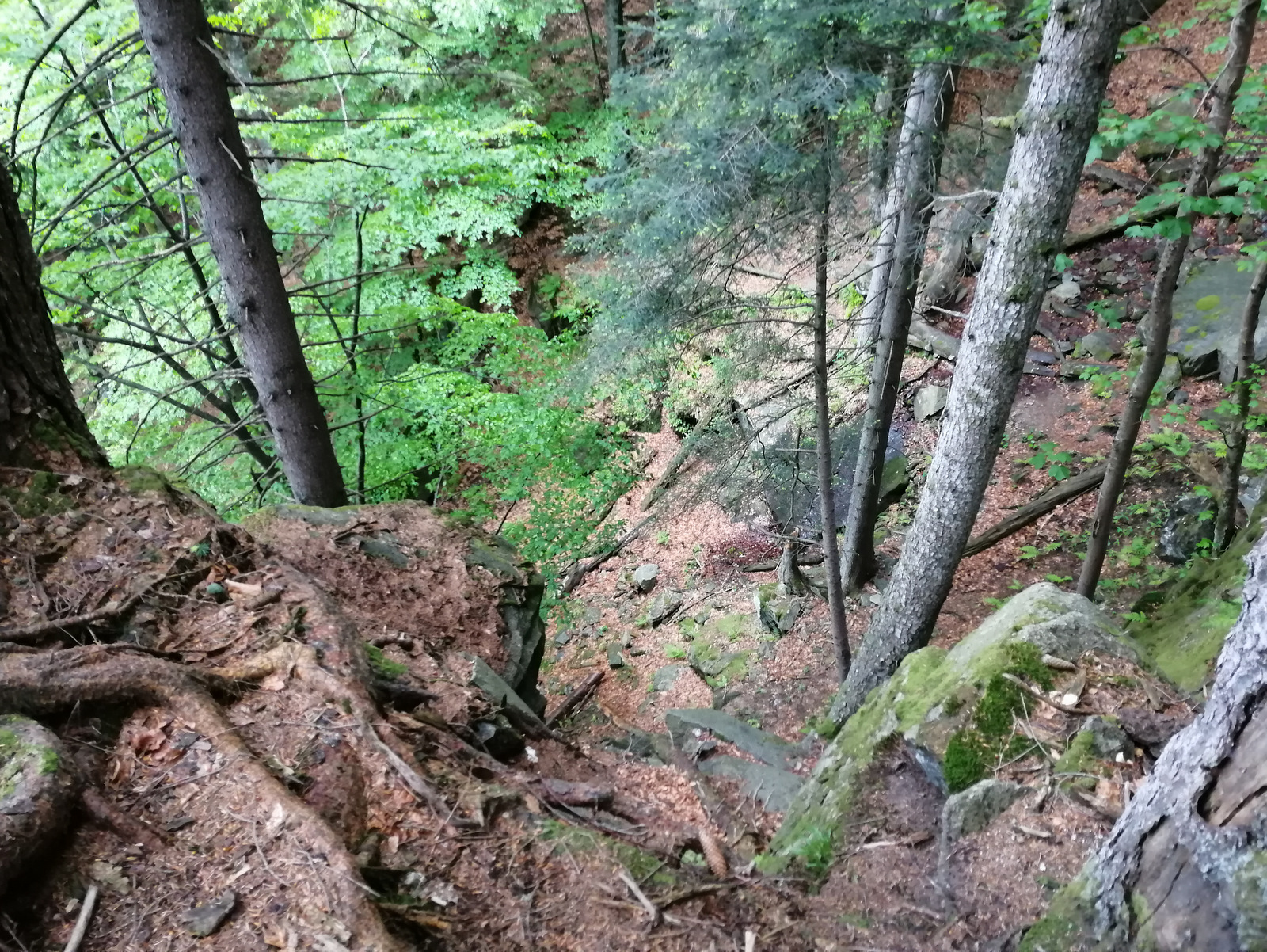 Pot do Velikega Šumika