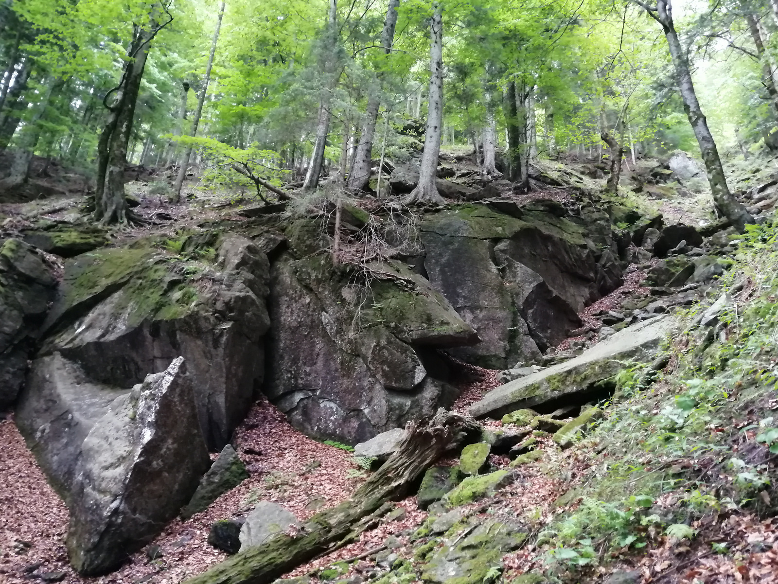 Pot do Velikega Šumika