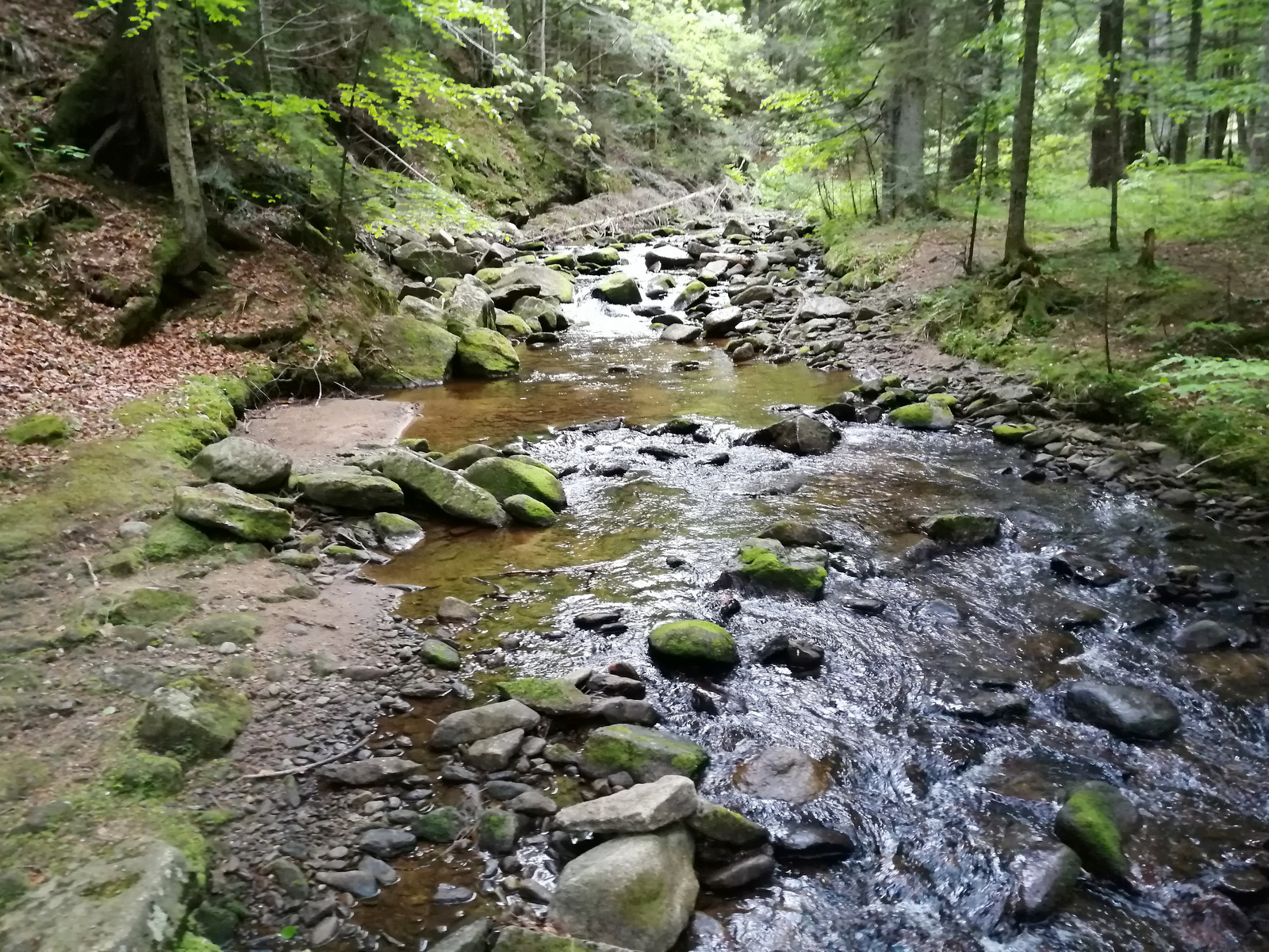 Pot do Velikega Šumika