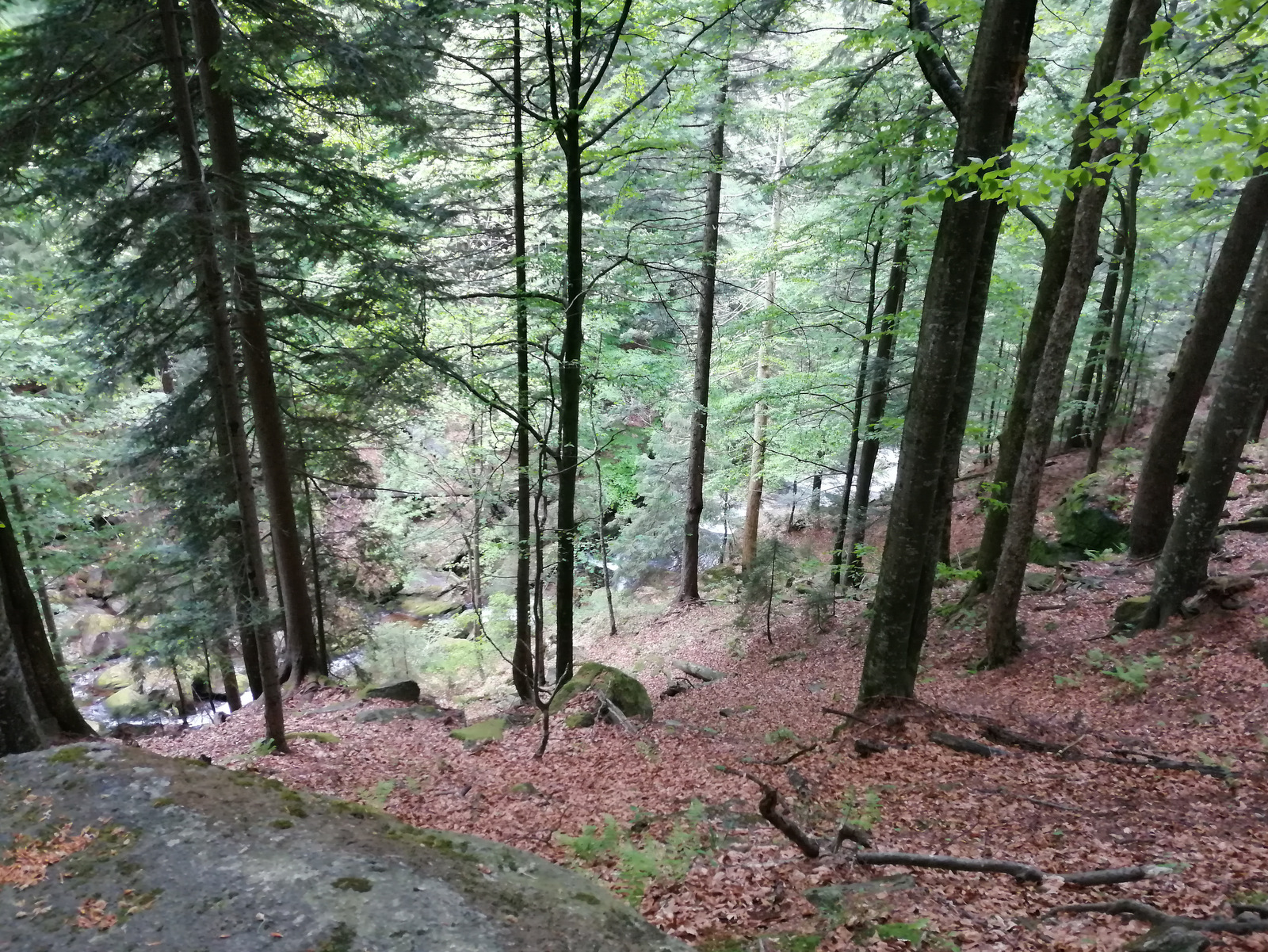 Pot do Velikega Šumika