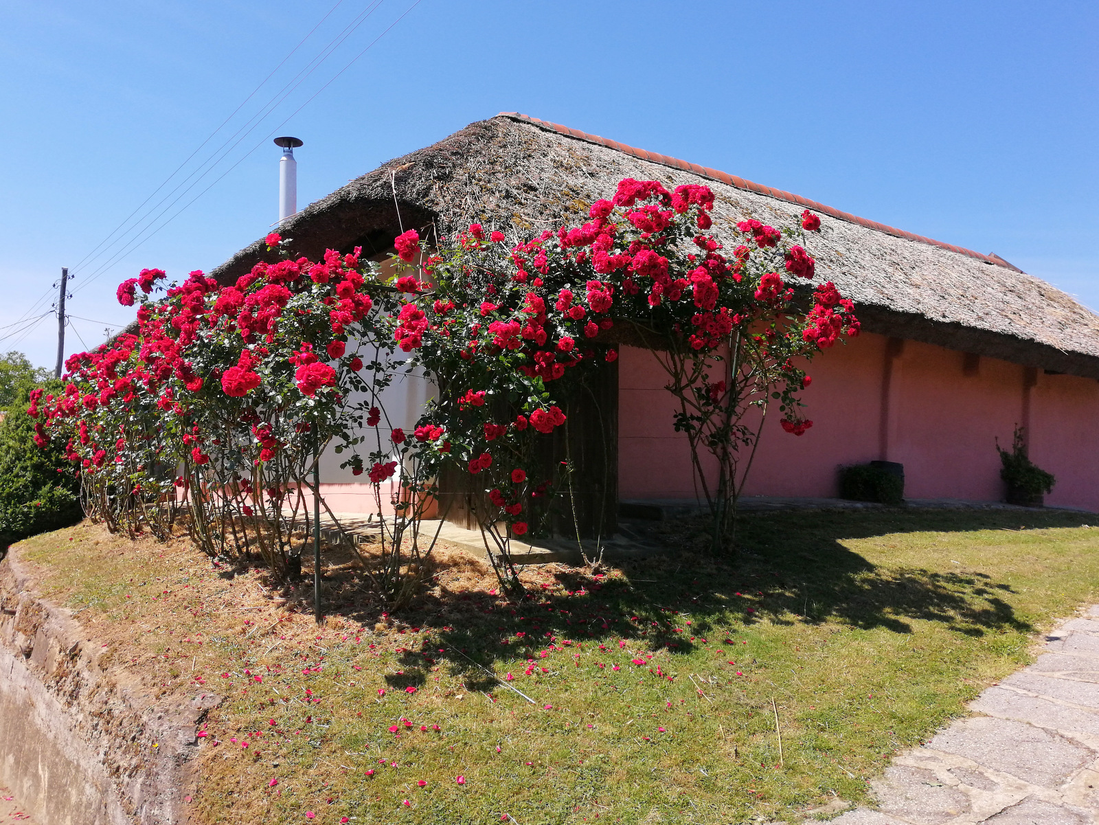 Stara domačija v Strehovskih goricah