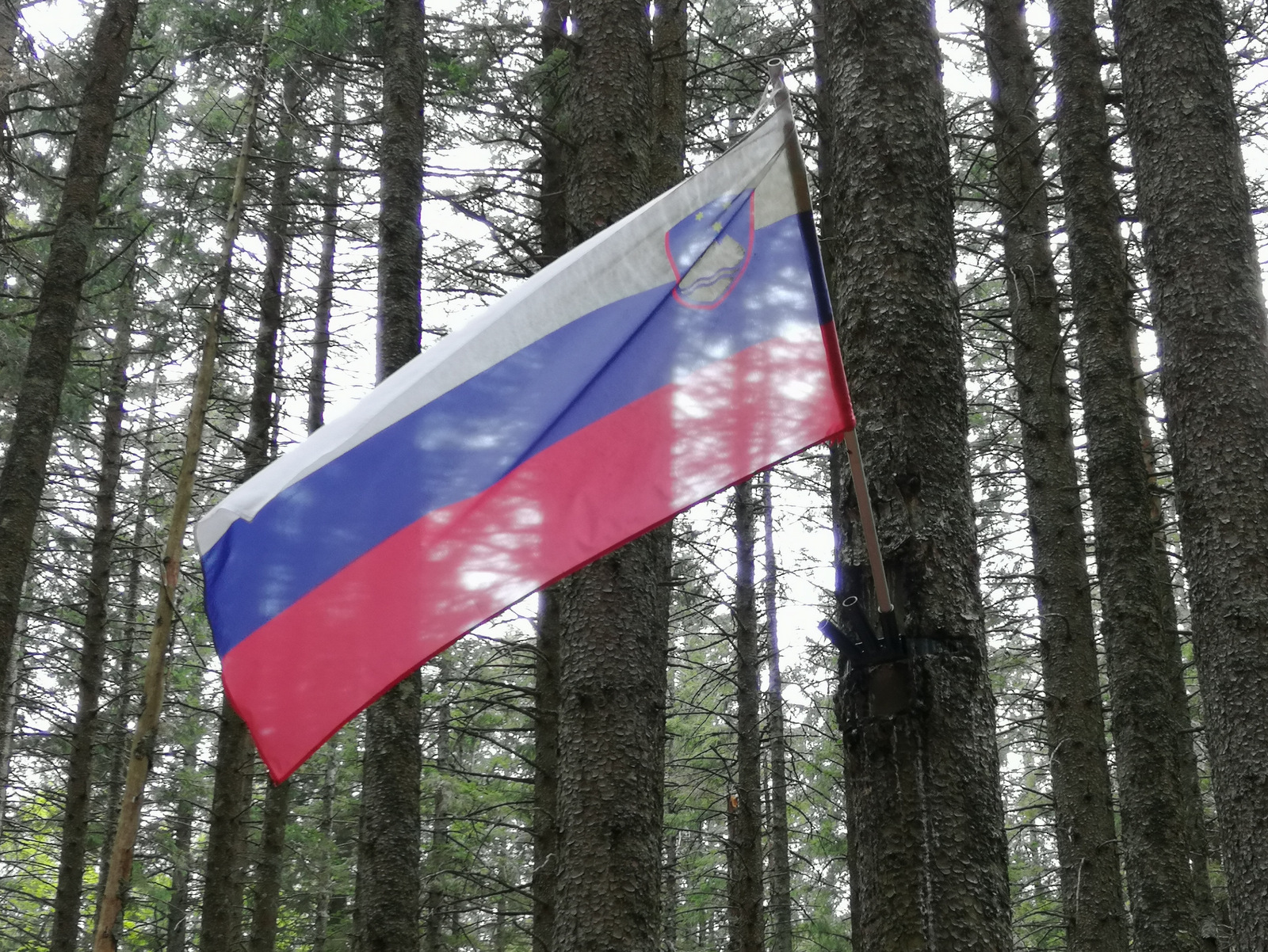 Spomenik Trije žeblji, Osankarica