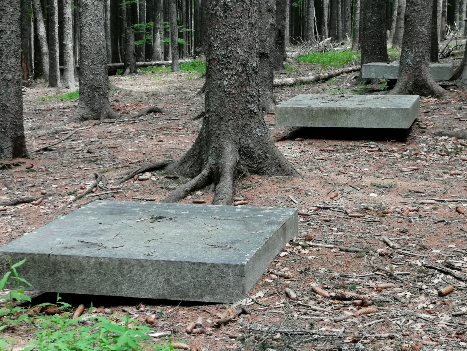 Spomenik Trije žeblji, Osankarica