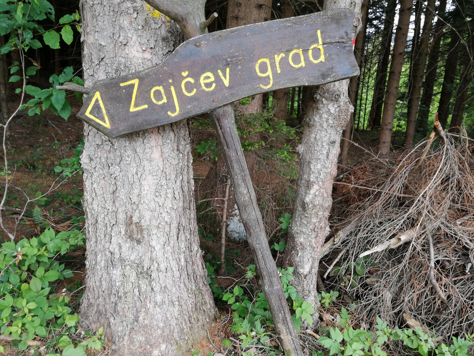 Zajčev grad
