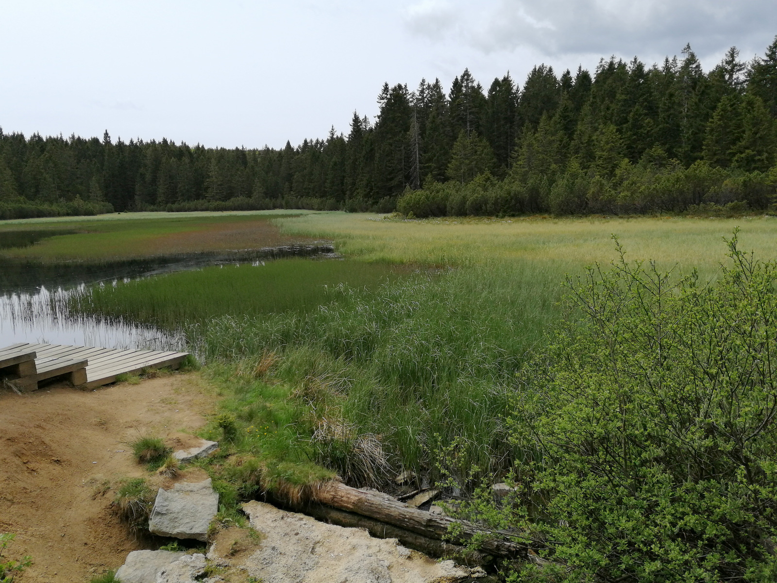 Črno jezero na Pohorju