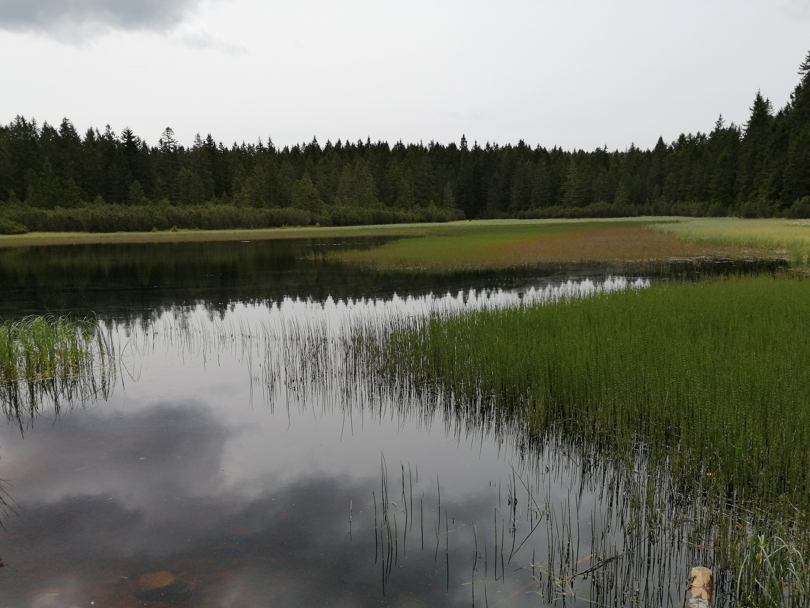 Črno jezero na Pohorju