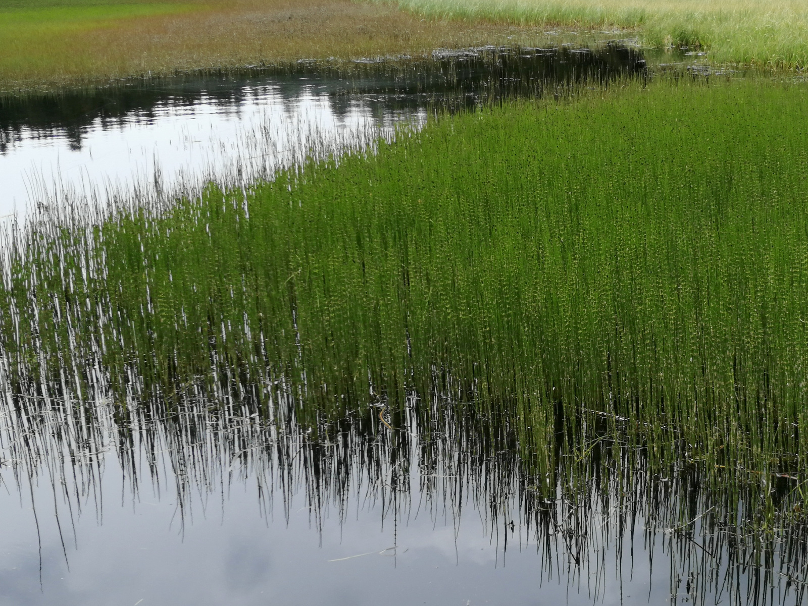 Črno jezero na Pohorju