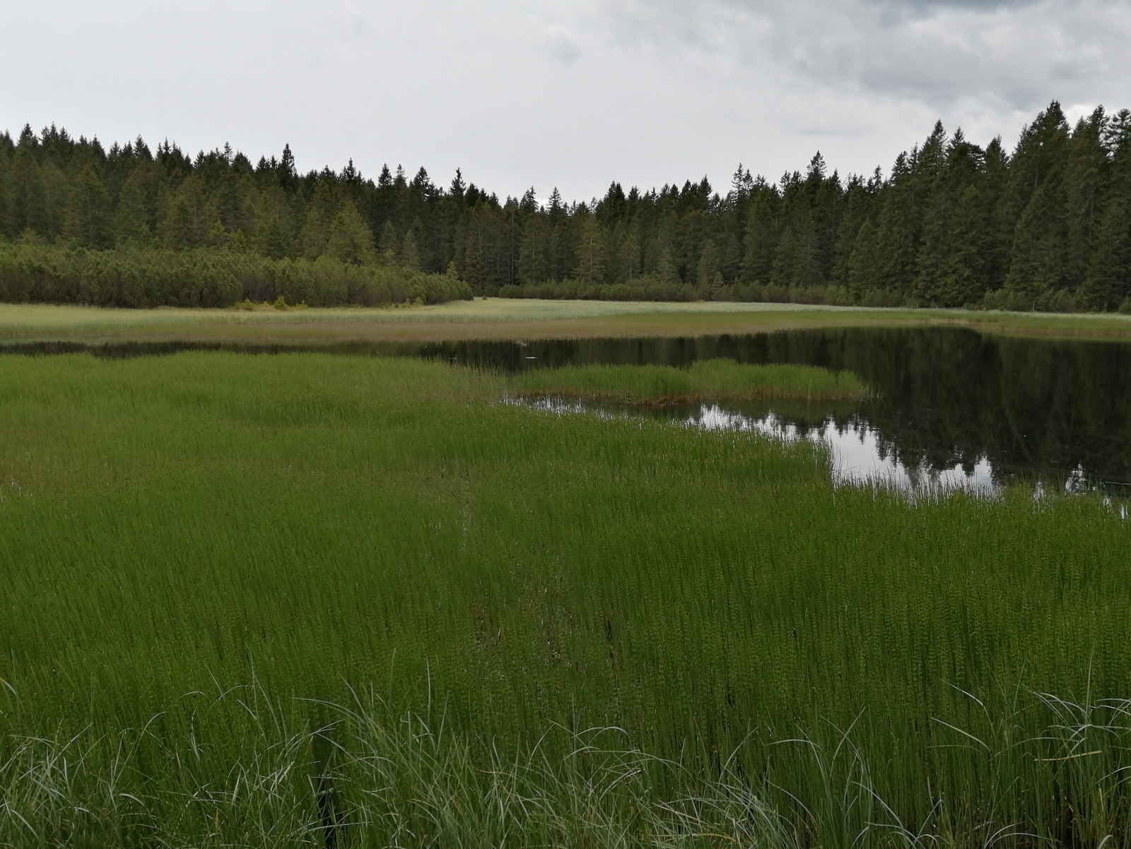 Črno jezero na Pohorju