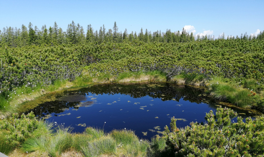 Lovrenška jezera, jezero