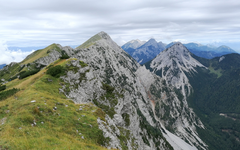 Košuta (Kofce, Veliki vrh, Kladivo, Šija)
