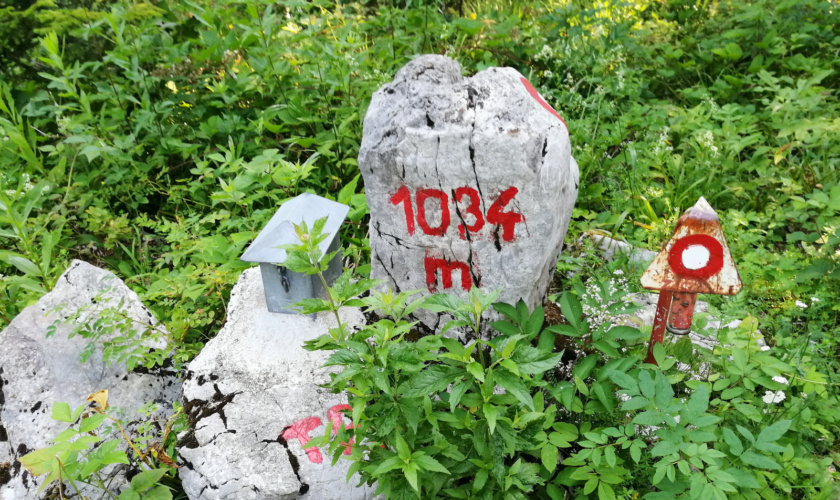 Mestni vrh nad Kočevjem