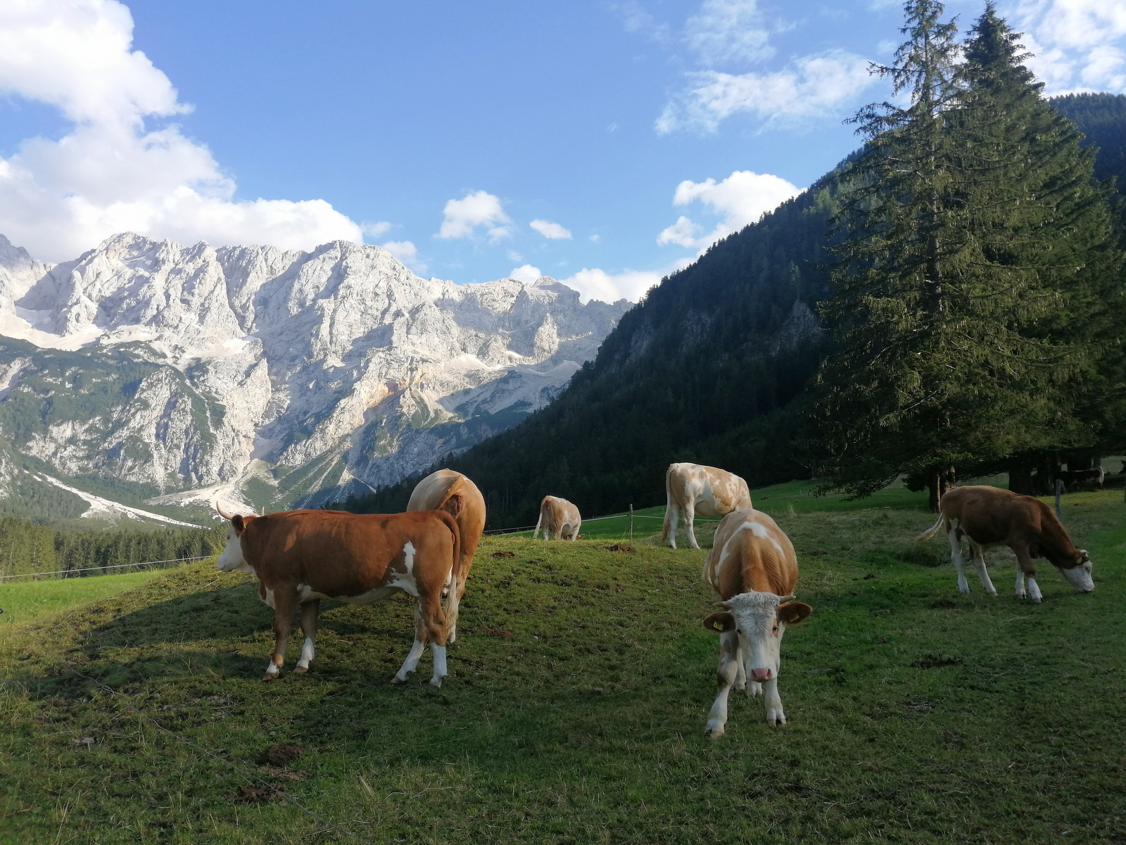 Zgornje Jezersko, Jezersko